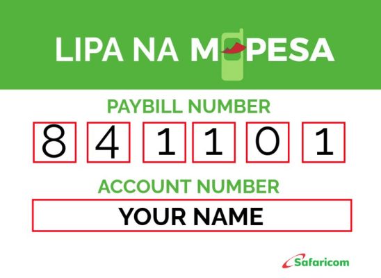 Professional Lipa Na Mpesa